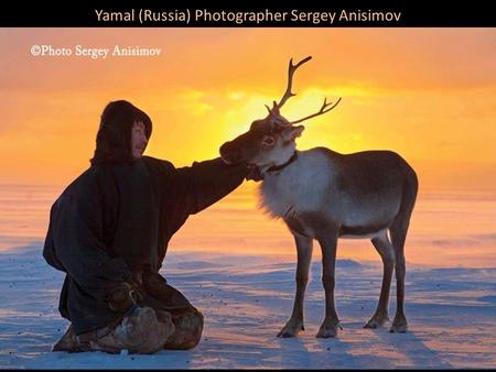 Yamal (Russia) Photographer Sergey Anisimov.