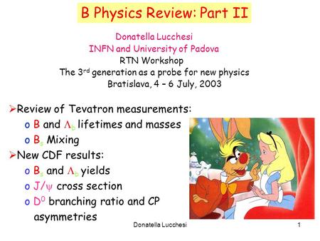 Donatella Lucchesi1 B Physics Review: Part II Donatella Lucchesi INFN and University of Padova RTN Workshop The 3 rd generation as a probe for new physics.