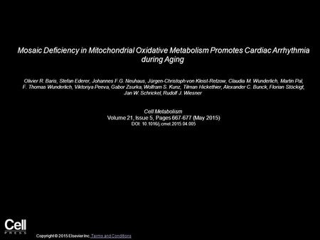 Mosaic Deficiency in Mitochondrial Oxidative Metabolism Promotes Cardiac Arrhythmia during Aging Olivier R. Baris, Stefan Ederer, Johannes F.G. Neuhaus,
