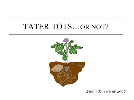 TATER TOTS… OR NOT ? Linda Knewstub 2006. This ppt can be used to help teachers introduce the Tater tots (tissue culture) lab It can also be used to help.