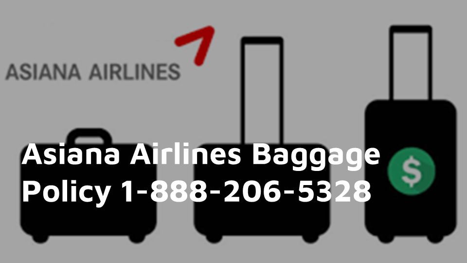 Asiana international baggage clearance
