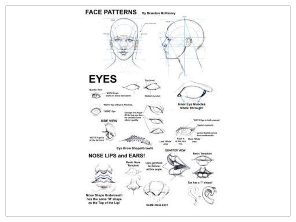 Smooshed Face Self-Portraits 2 Days - ppt download