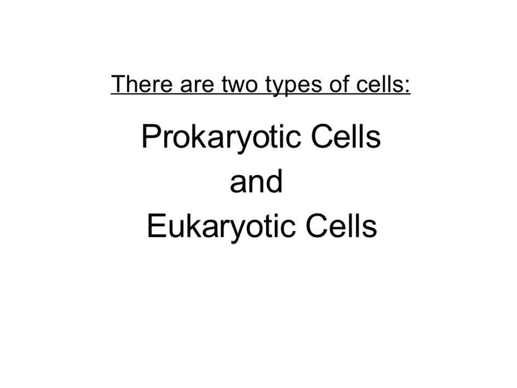 The Difference Between Plant and Animal Cells. - ppt download