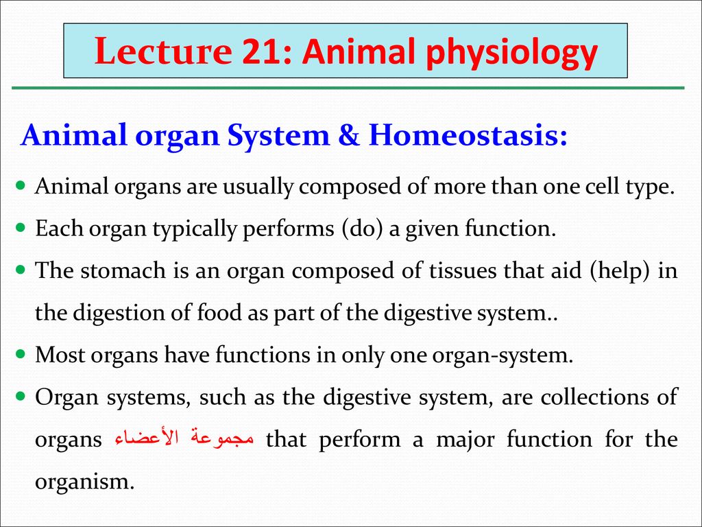 Lecture 21: Animal physiology - ppt download