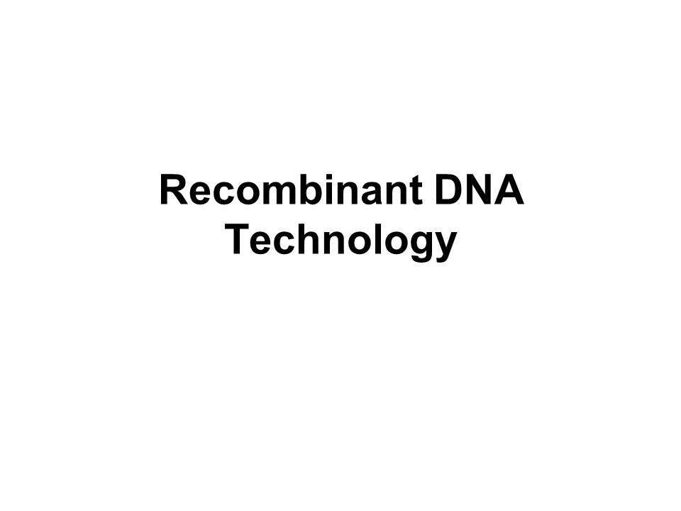 Recombinant DNA Technology - ppt download