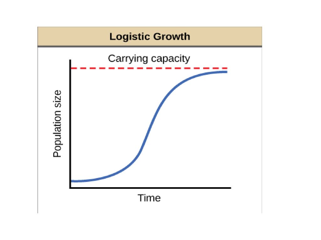 Populations & Energy Flow - ppt download