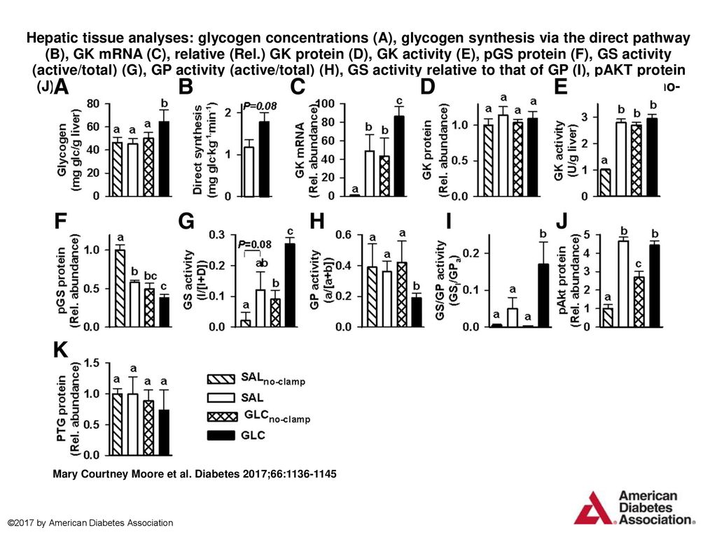 Hepatic Tissue Analyses Glycogen Concentrations A Glycogen Synthesis Via The Direct Pathway B Gk Mrna C Relative Rel Gk Protein D Gk Activity Ppt Download