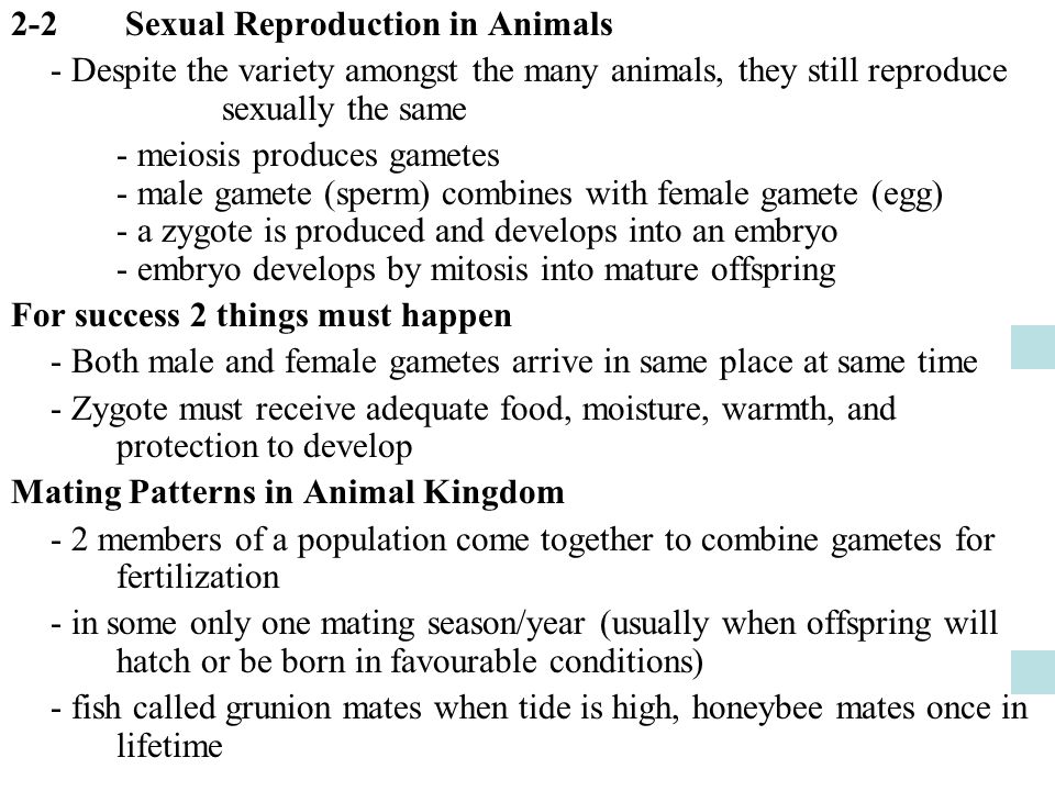 2-2 Sexual Reproduction in Animals - ppt video online download