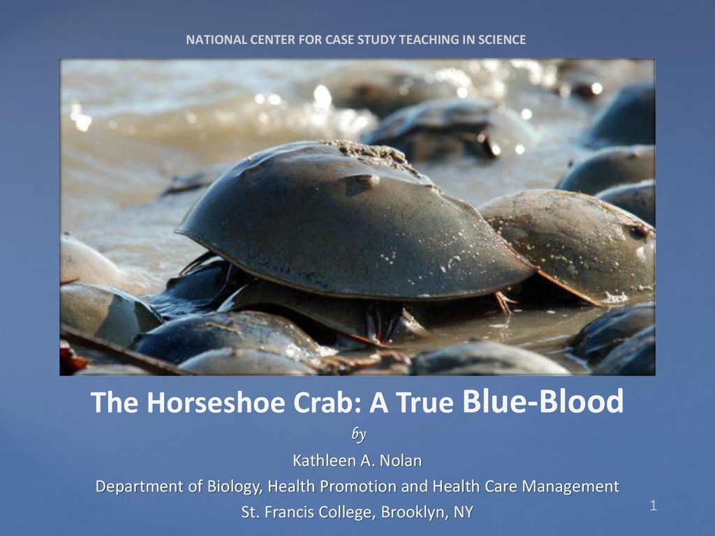 The Horseshoe Crab: A True Blue-Blood - ppt download