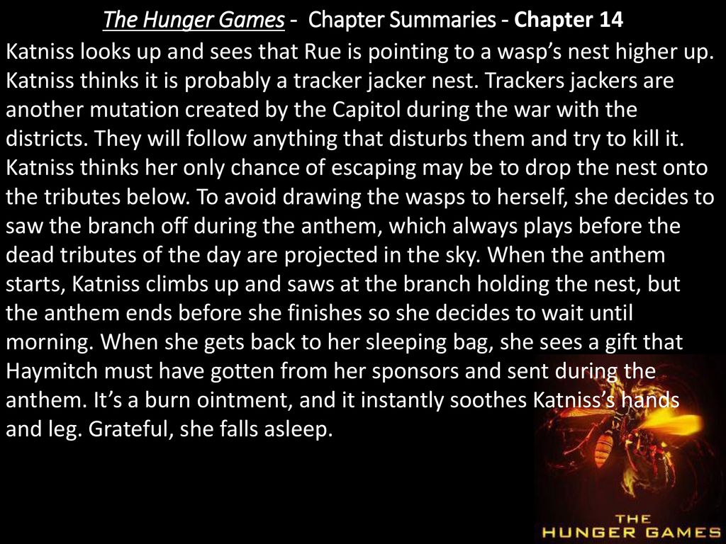 Hunger Games Summaries - Chapter ppt download