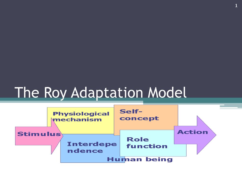 sister callista roy adaptation theory