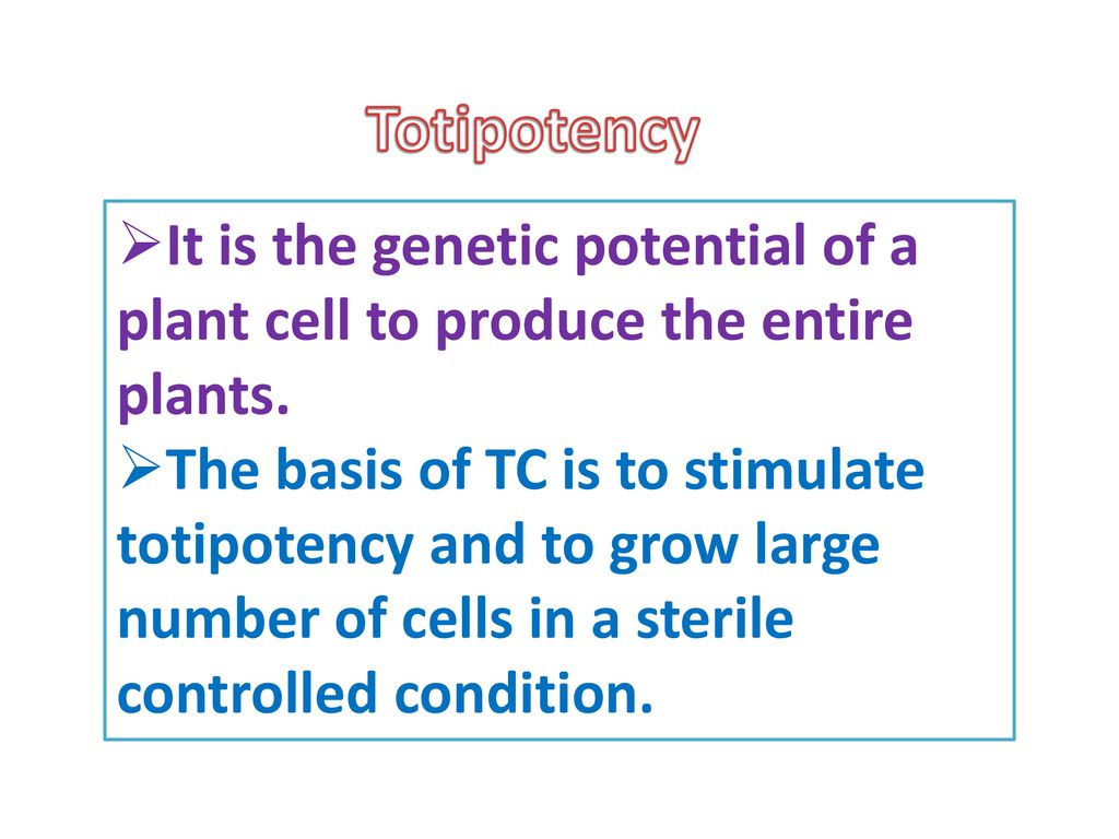 Totipotency It Is The Genetic Potential Of A Plant Cell To Produce The Entire Plants The Basis Of Tc Is To Stimulate Totipotency And To Grow Large Number Ppt Download