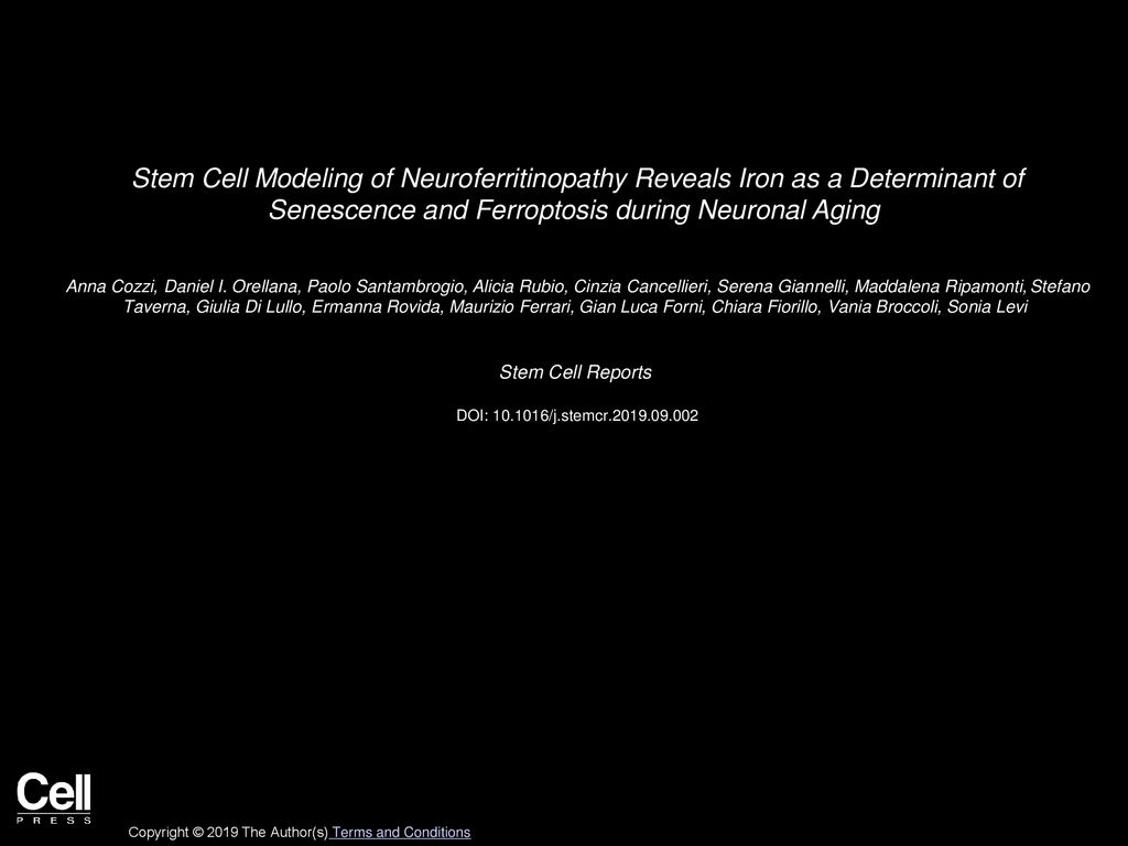Stem Cell Modeling of Neuroferritinopathy Reveals Iron as a Determinant of  Senescence and Ferroptosis during Neuronal Aging Anna Cozzi, Daniel I.  Orellana, - ppt download