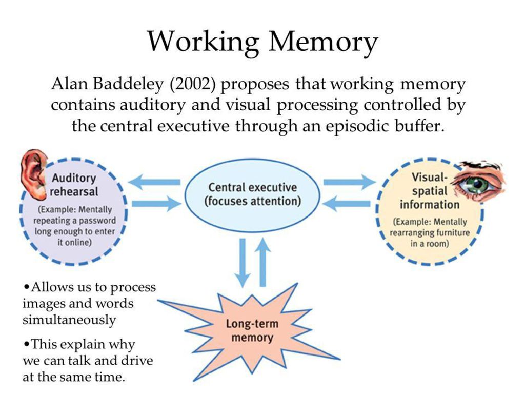 Бэддели ваша память. Working Memories. Baddeley working Memory. Модель рабочей памяти Баддели.