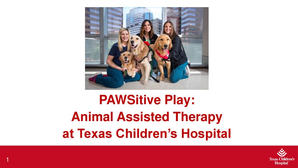 PAWSitive Play: Animal Assisted Therapy at Texas Children's Hospital - ppt  download