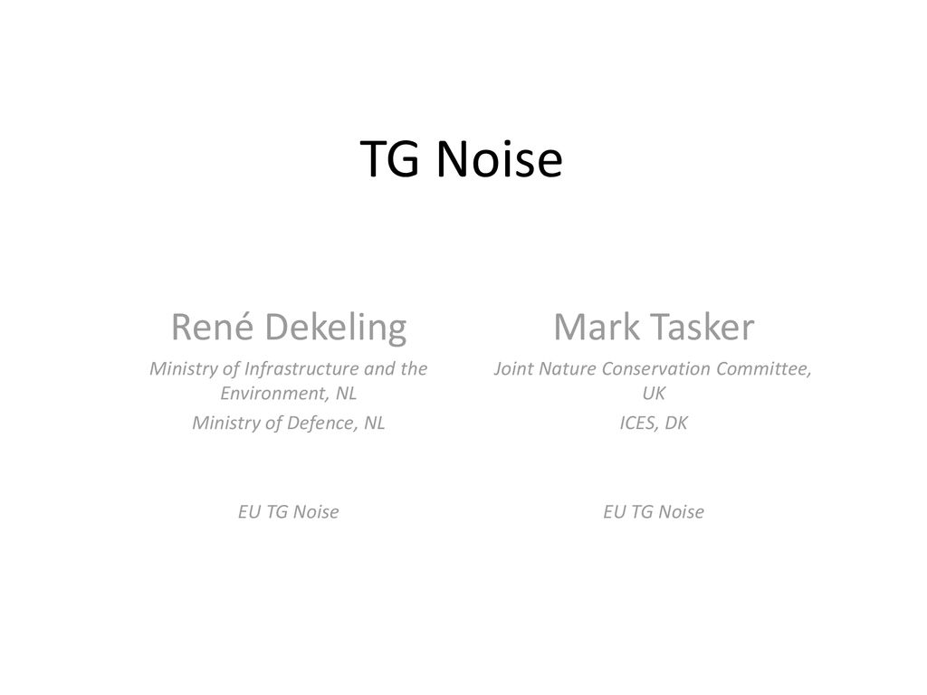 TG Noise René Dekeling Mark Tasker - ppt download
