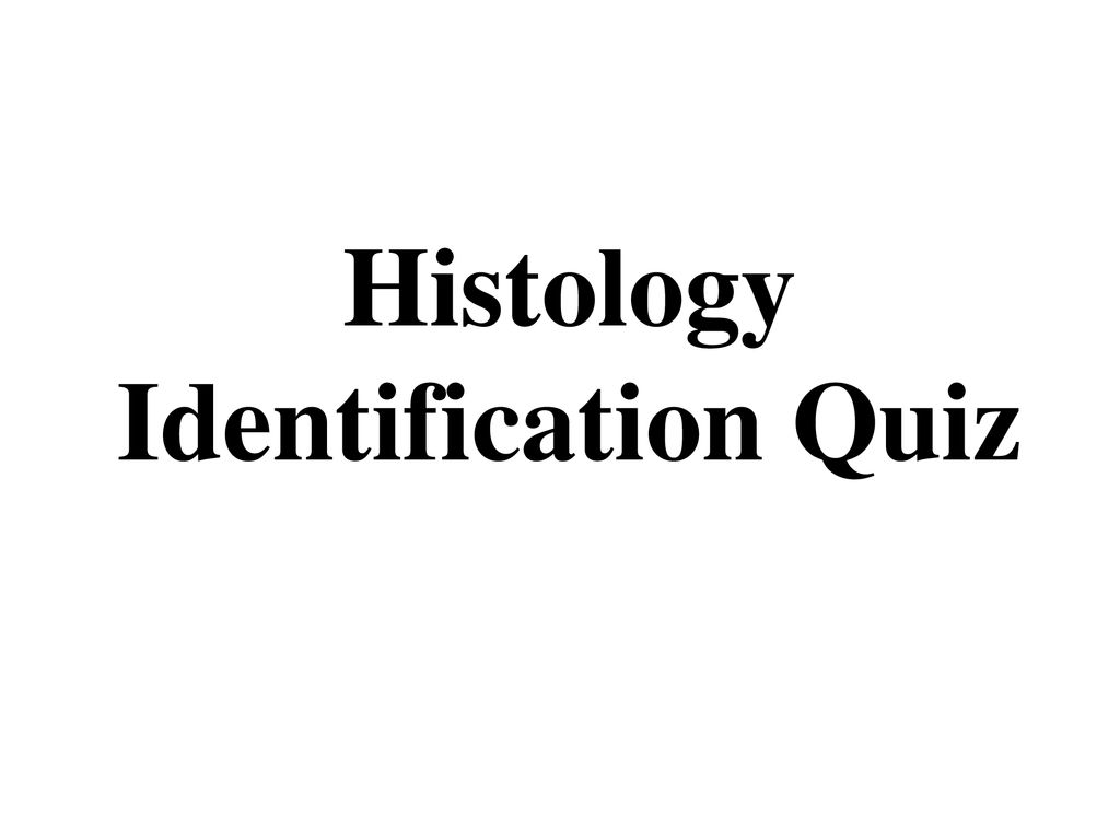 Histology Identification Quiz - ppt download