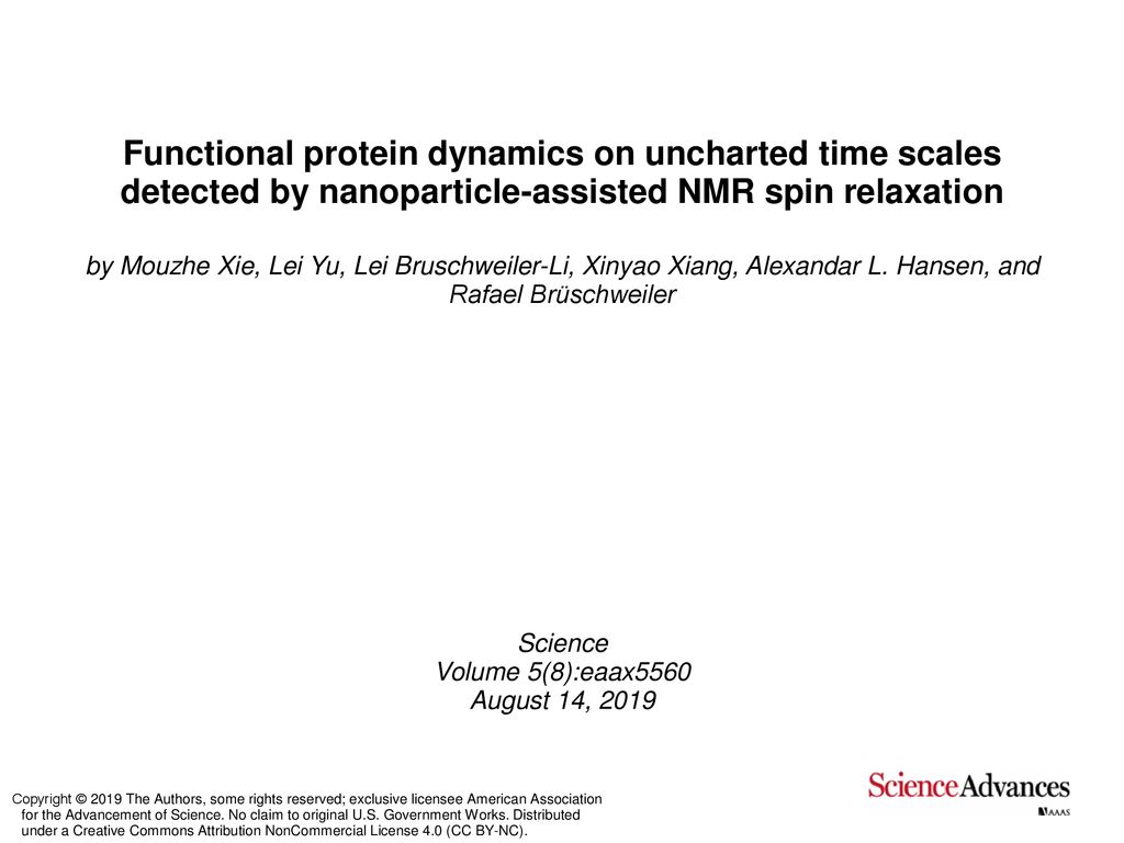 Functional protein dynamics on uncharted time scales detected by  nanoparticle-assisted NMR spin relaxation