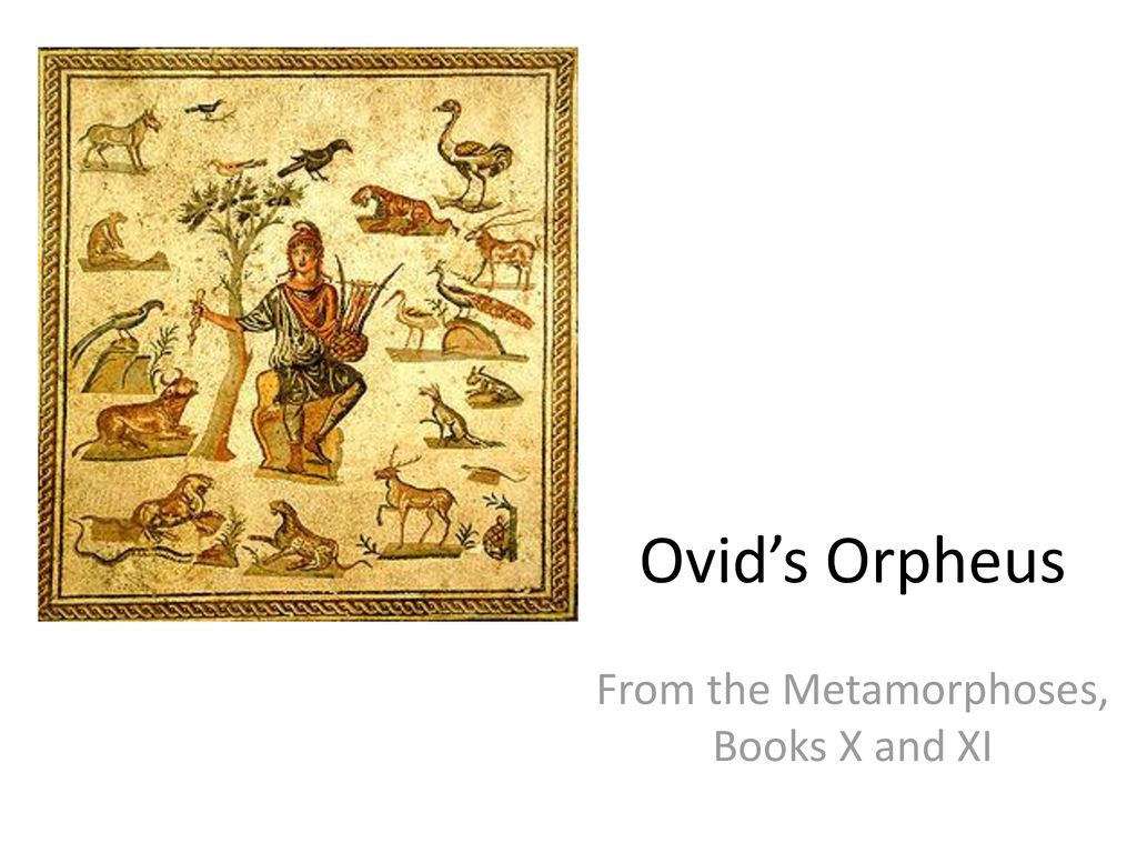 From the Metamorphoses Books X and XI ppt download