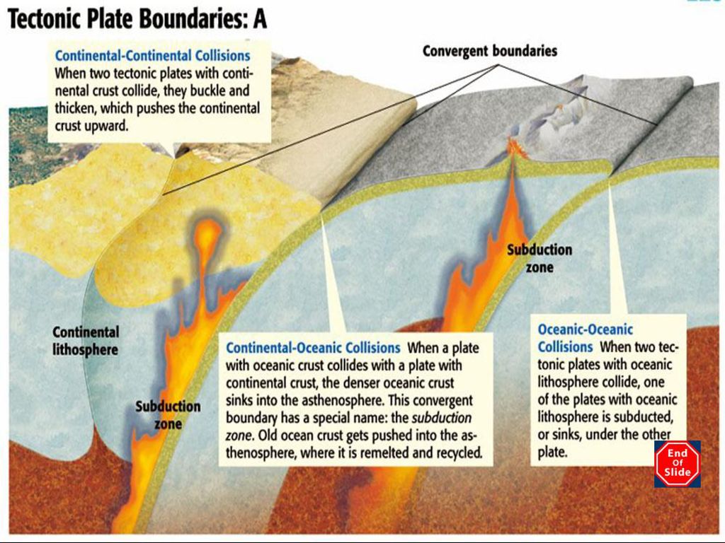 Plate Tectonics The Big Idea: Plate tectonics accounts for important ...