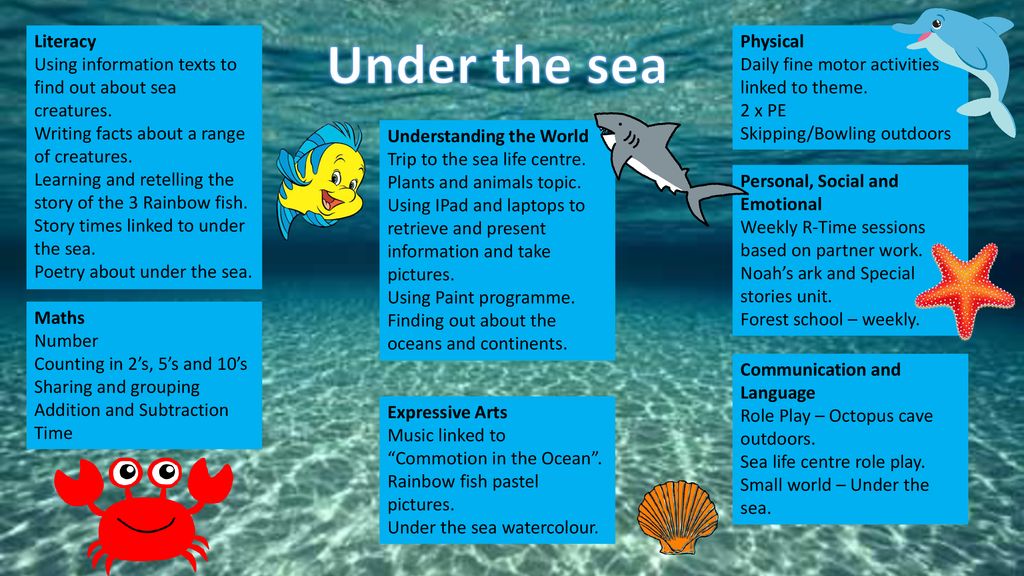 Literacy Using information texts to find out about sea creatures. - ppt download Literacy Using information texts to find out about sea creatures. - ppt download