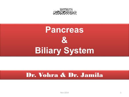 Pancreas & Biliary System