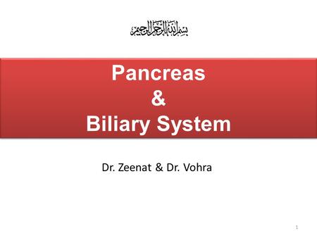 Pancreas & Biliary System