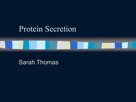 Protein Secretion Sarah Thomas. Secretory Pathway n Ribosomes that are synthesizing proteins and bear an ER signal sequence bind to rough ER. n Once transcription.