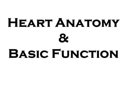 Heart Anatomy & Basic Function