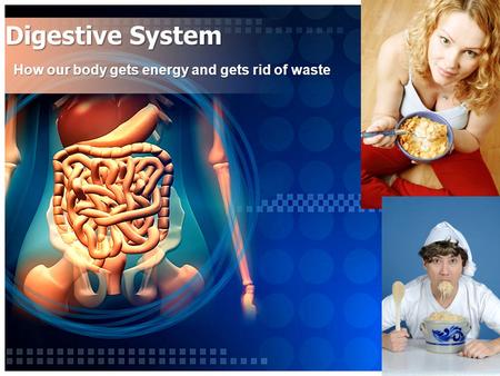 Digestive System How our body gets energy and gets rid of waste.
