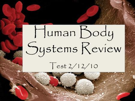 Human Body Systems Review Test 2/12/10. Structures of the Body Cell- basic building blocks of life; smallest part of your body Tissue- group of the same.