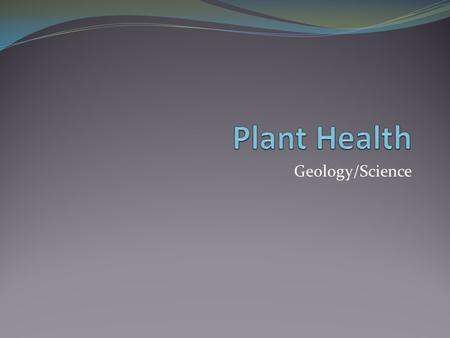 Geology/Science. Needs of a Plant: LIGHT Healthy plants need light, air, water and nourishment in order to grow well. Photosynthesis: all green parts.