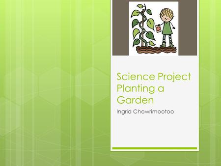 Science Project Planting a Garden