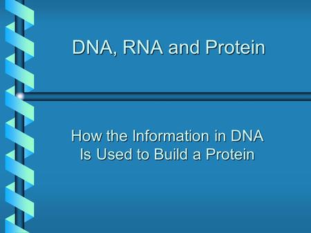 DNA, RNA and Protein How the Information in DNA Is Used to Build a Protein.