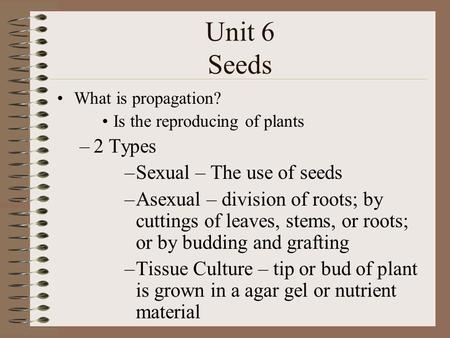 Unit 6 Seeds What is propagation? Is the reproducing of plants –2 Types –Sexual – The use of seeds –Asexual – division of roots; by cuttings of leaves,