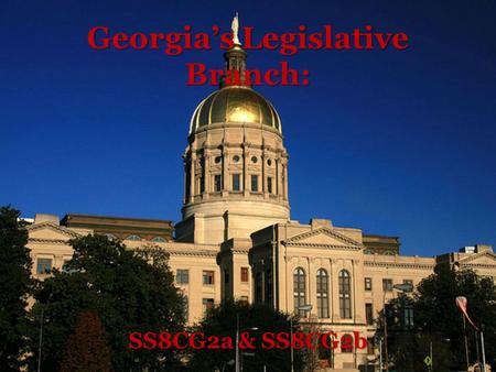 Georgia’s Legislative Branch: