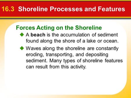16.3 Shoreline Processes and Features