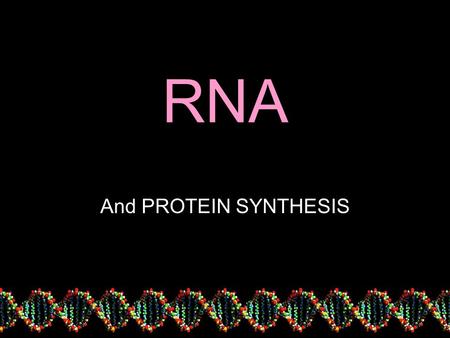 RNA And PROTEIN SYNTHESIS. What DNA is for…… Making Proteins Why is this important?