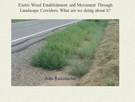 Exotic Weed Establishment and Movement Through Landscape Corridors. What are we doing about it? John Rademacher.