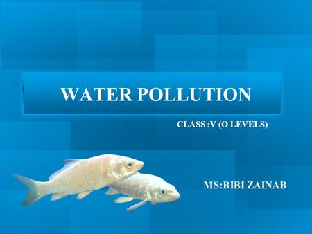 WATER POLLUTION CLASS :V (O LEVELS) MS:BIBI ZAINAB.