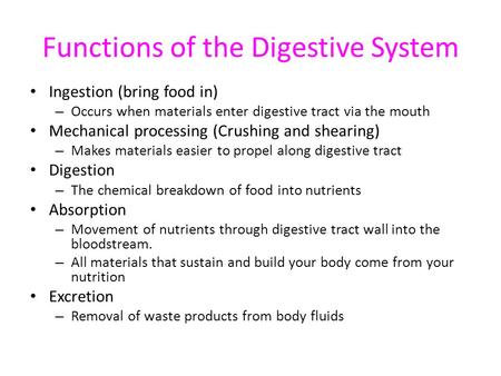 Functions of the Digestive System Ingestion (bring food in) – Occurs when materials enter digestive tract via the mouth Mechanical processing (Crushing.