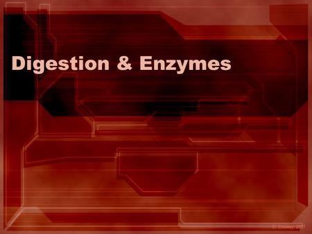 Digestion & Enzymes D. Crowley, 2007. Digestion & Enzymes To revise the digestive system, and the role of enzymes.
