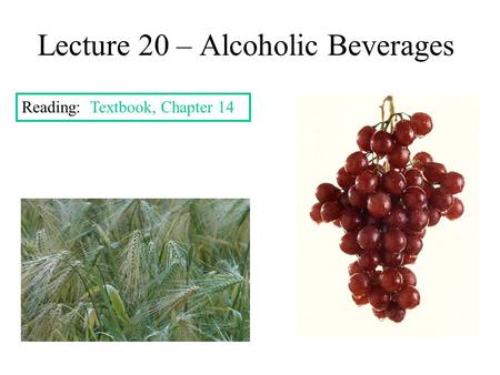 Lecture 20 – Alcoholic Beverages