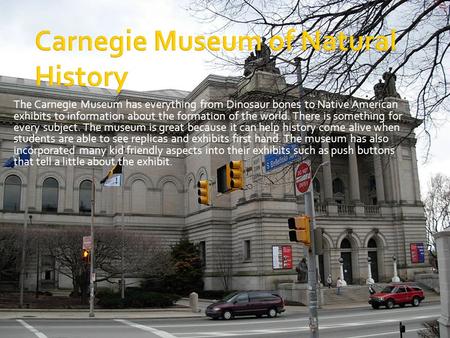 The Carnegie Museum has everything from Dinosaur bones to Native American exhibits to information about the formation of the world. There is something.