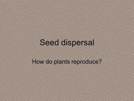 Seed dispersal How do plants reproduce?. Acorns fall from the tree and sprout If they are not destroyed by animals, white oak acorns can sprout rapidly.