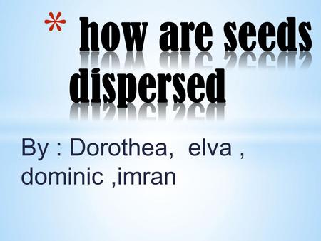 By : Dorothea, elva, dominic,imran If seeds are not dispersed, all the young plants would grow around the parent plant and overcrowding will take place.