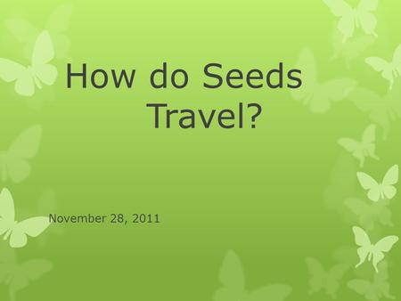 How do Seeds Travel? November 28, 2011.