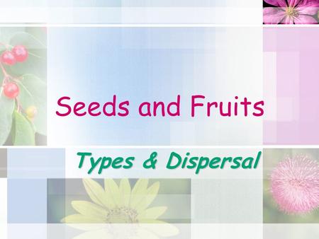 Seeds and Fruits Types & Dispersal.