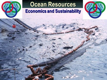 Ocean Resources Economics and Sustainability. OCEAN RESOURCES - Key Concepts A. Marine Resources Divided Into Several Categories Biological 1) Biological.