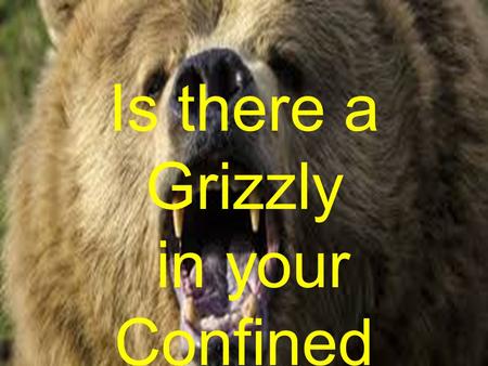 Is there a Grizzly in your Confined Space?.